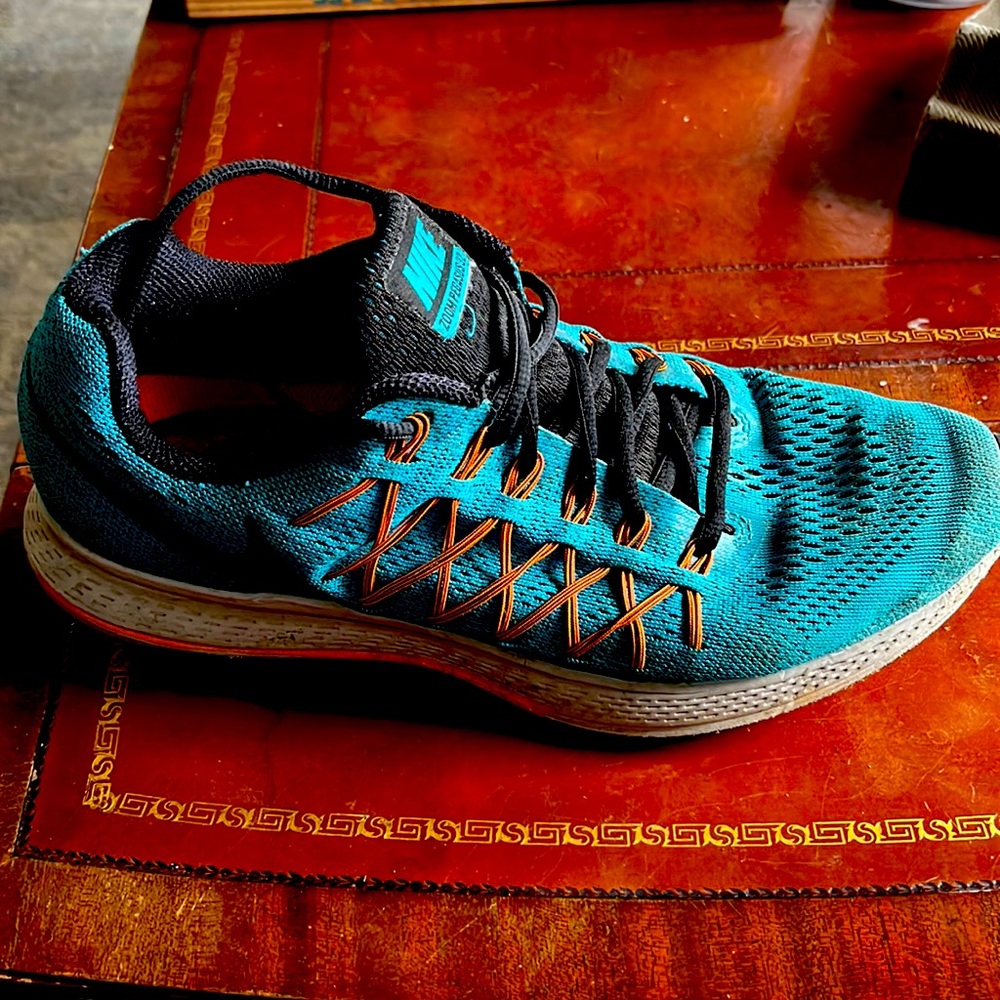 Nike Pegasus 32
